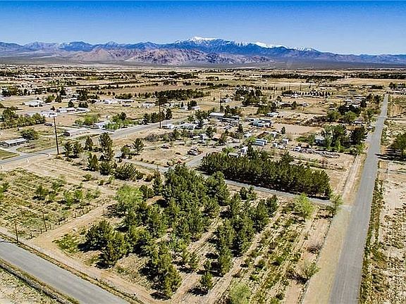 Planted w/Pine Trees