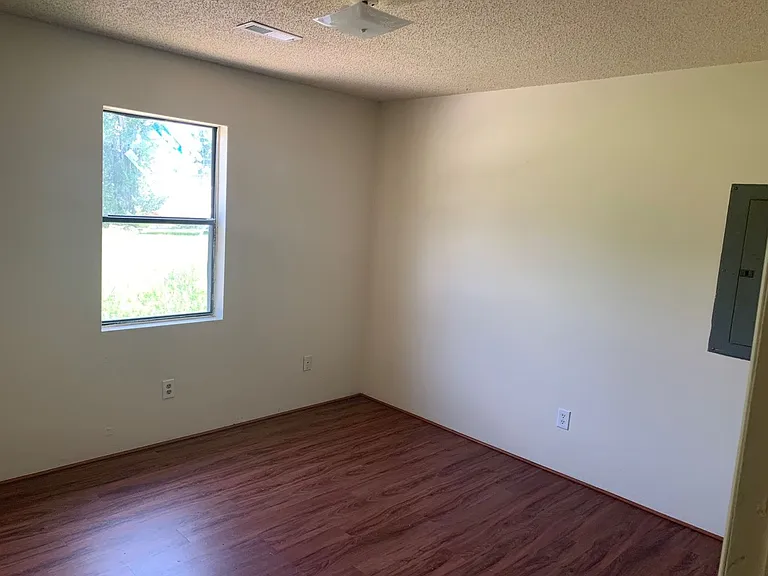 909 Chesson St — Photo 5