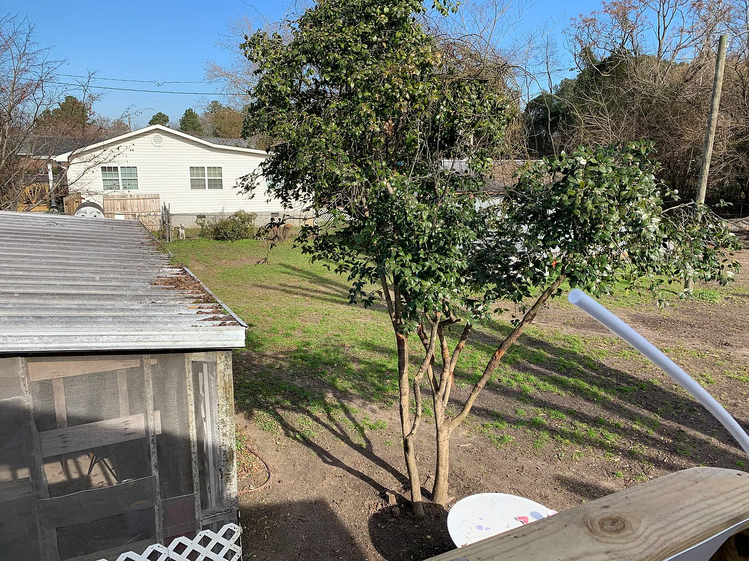 Studio, 550 sqft, $950 — Photo 2