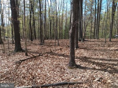 50 Birch Grove Ln, Berkeley Springs, WV, 25411