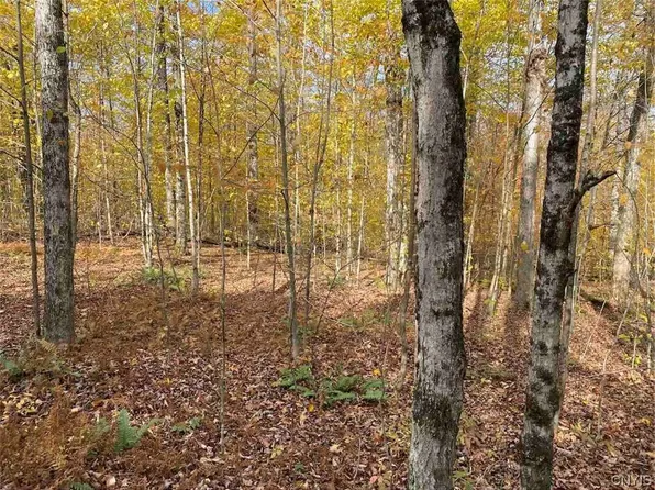 0 Old State Rd, Angelica, NY 14709