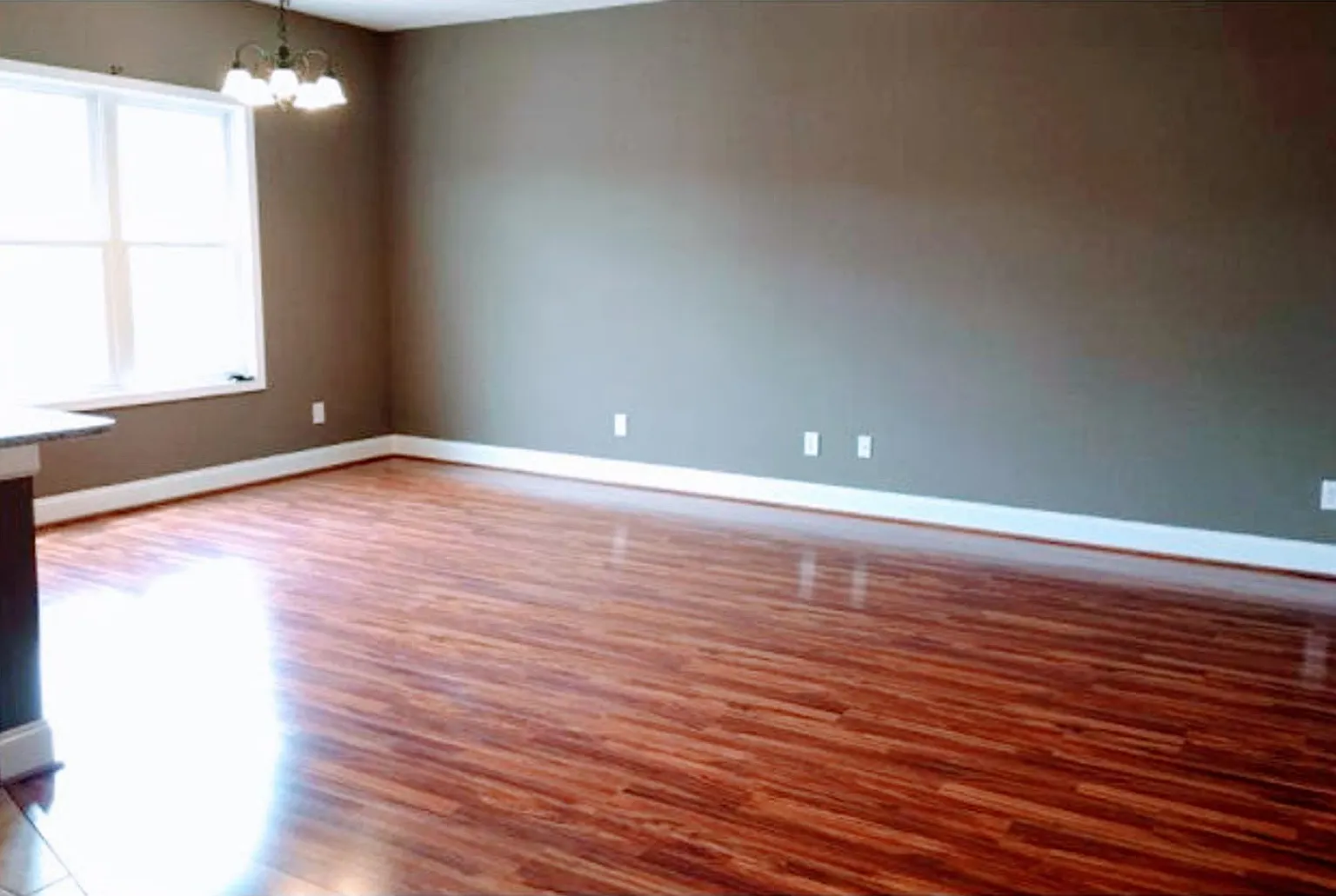 Great Location 2 Bedroom Apartment — Photo 4