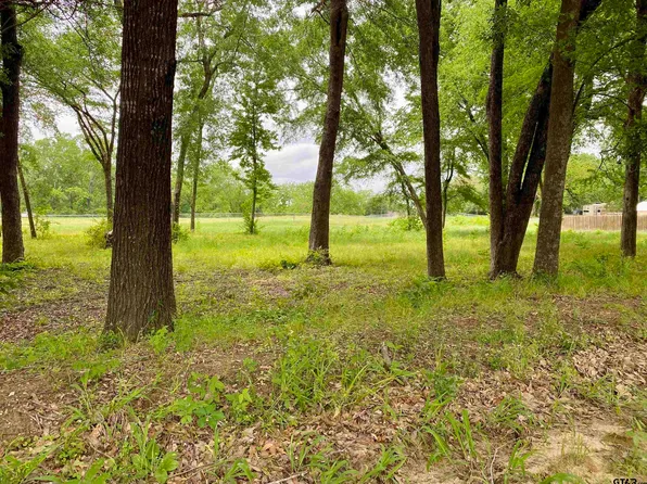 LOT 2 Browning St, Brownsboro, TX 75756