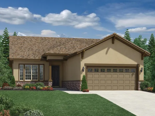 463 Basin Daisy St, Castle Rock, CO 80104