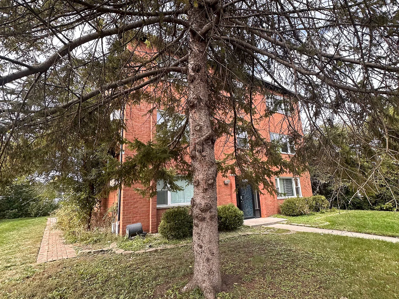 2 bed, 900 sqft, $1,500 — Photo 1