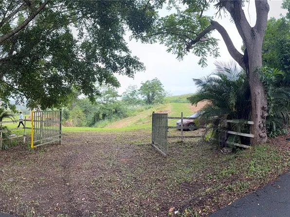 Route 159, Corozal, PR 00783