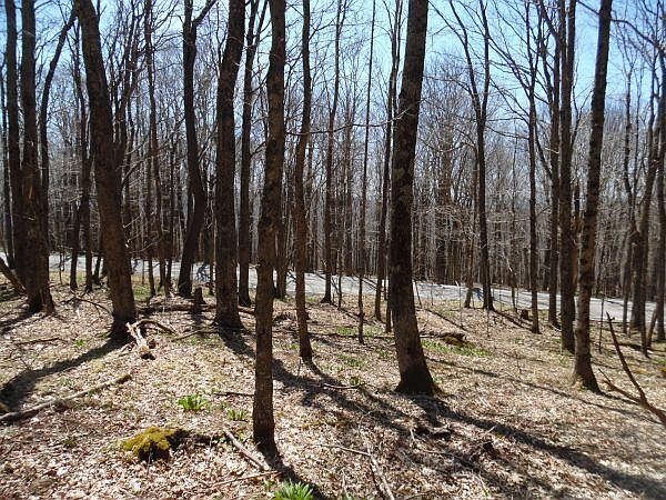 1st image of 6181 Cass Rd