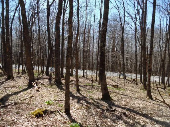 6181 Cass Rd, Slatyfork, WV 26291