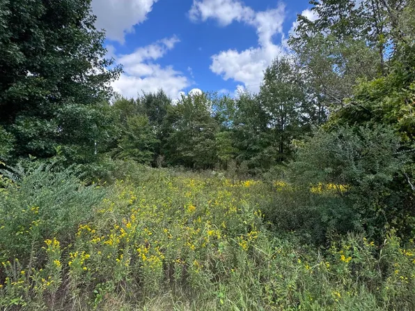 555 Charlie Lewis Rd, Trenton, TN 38382