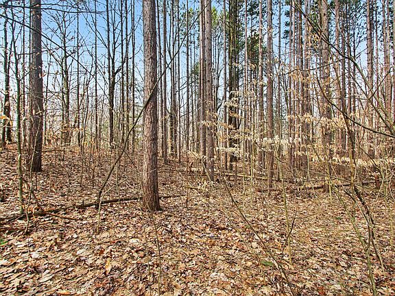 4th image of 5818 Hunters Rdg