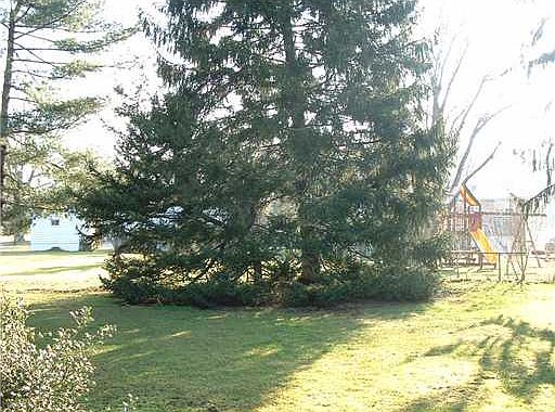 3rd image of Bristol Dr