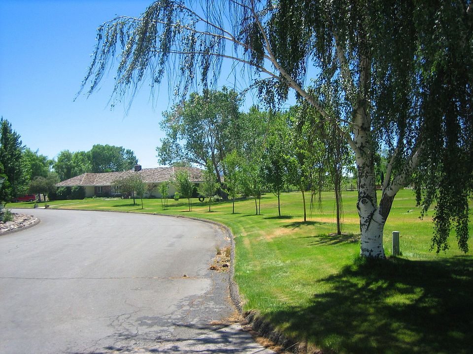front view