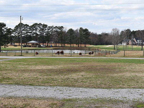 View from front porch