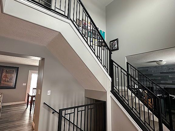 New stair rails and capet