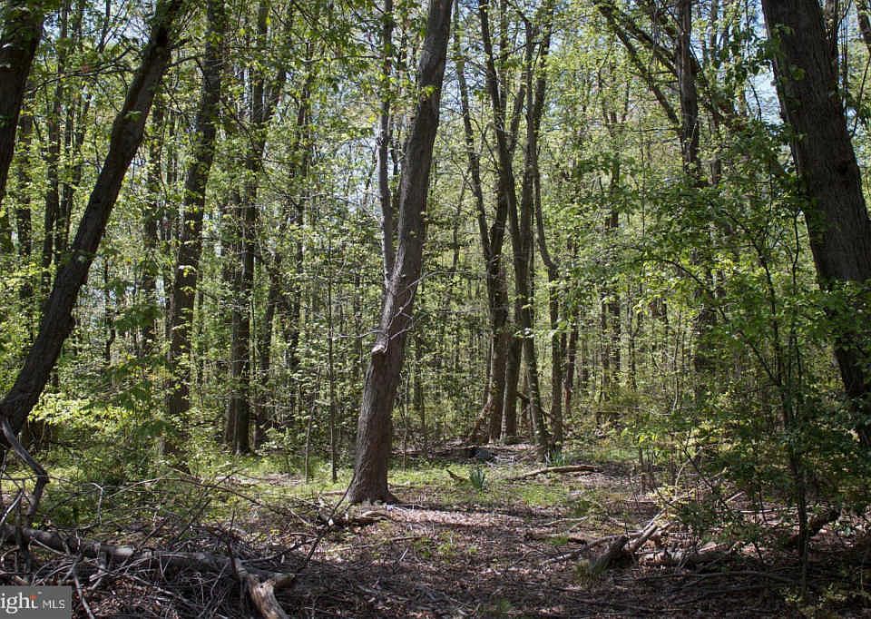 2nd image of 6516 Bell Station Rd