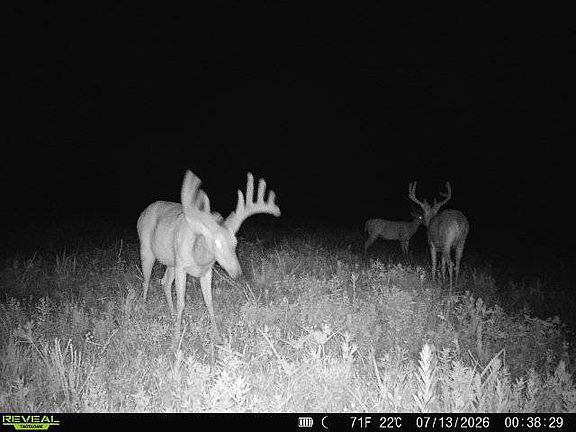 5th image of 15 Rd & Unique