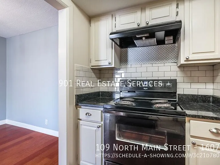 109 N Main St #1607 — Photo 12