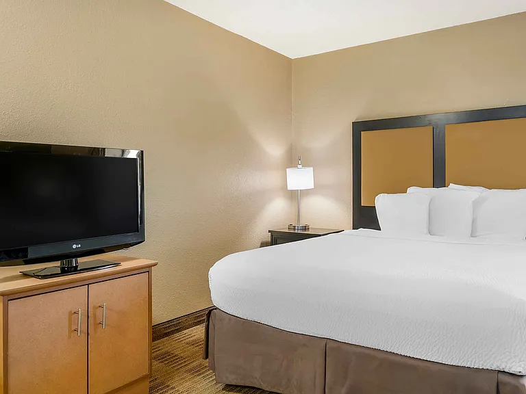 Studio Suite - 2 Queen Beds