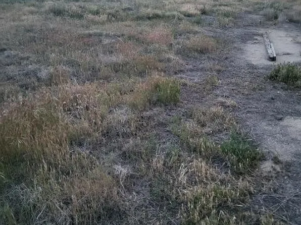 429 Eastern Ave, Taft, CA 93268