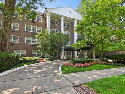 1025 Randolph St APT 307, Oak Park, IL, 60302