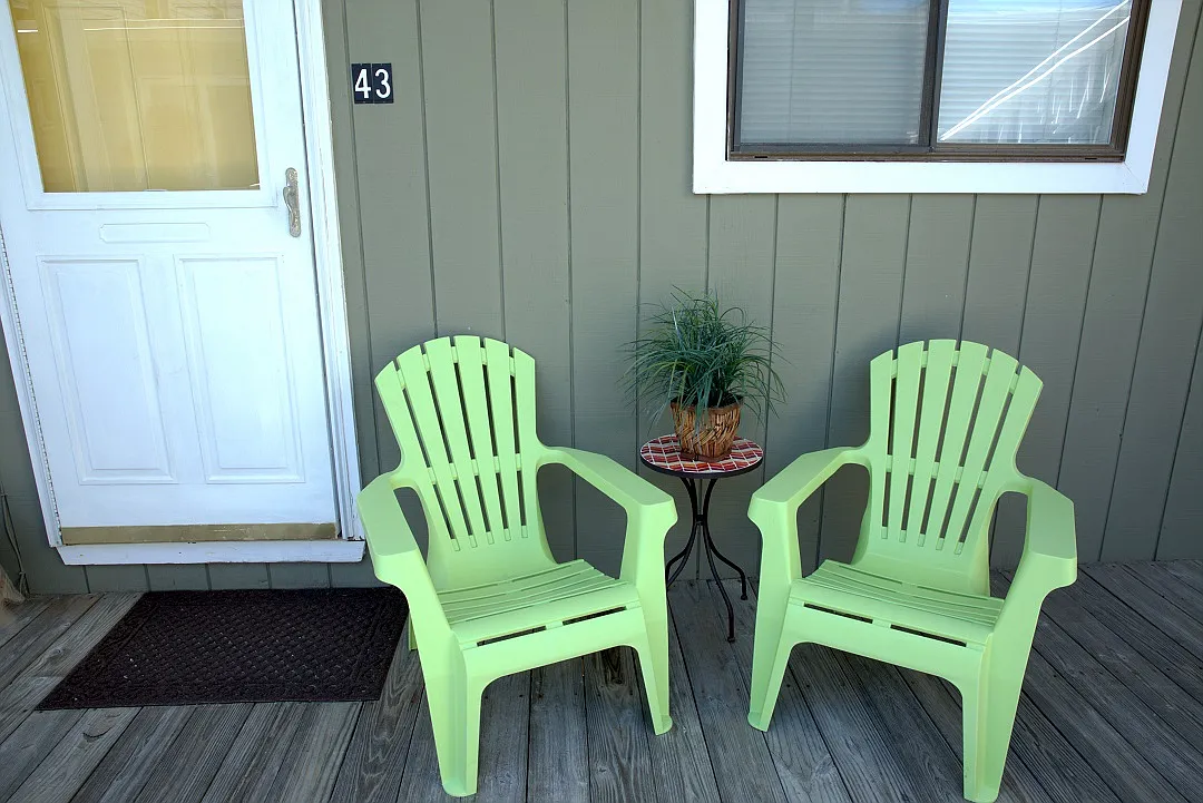 1 bed, 352 sqft, $1,600 — Photo 3