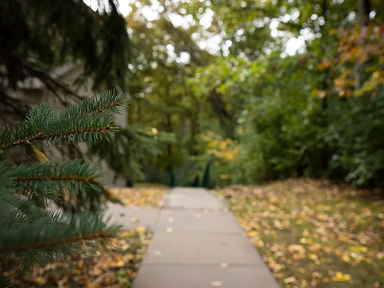 Community trails and walkways, perfect for pup strolls!