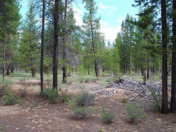 5th image of 50670 Deer Forest Dr
