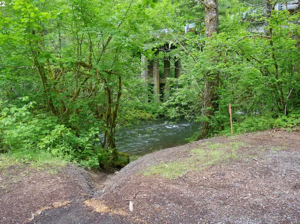 114 Edgewater Dr, Carson, WA 98610