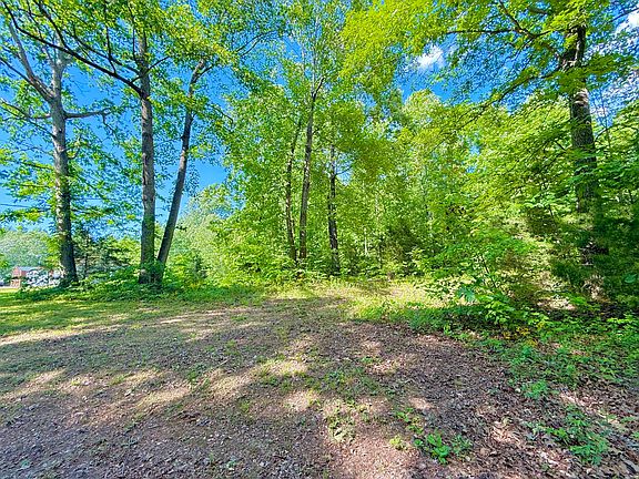 2nd image of 0 Ewing Ridge Rd