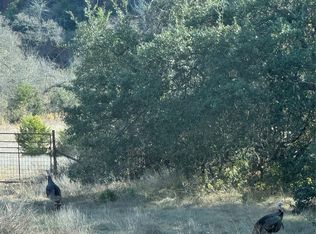 1441 Gatlin Creek Rd, Dripping Springs, TX 78620