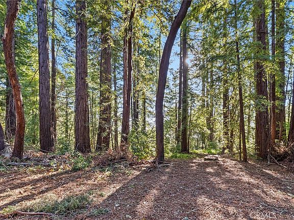 2nd image of 4419 Trout Gulch Rd