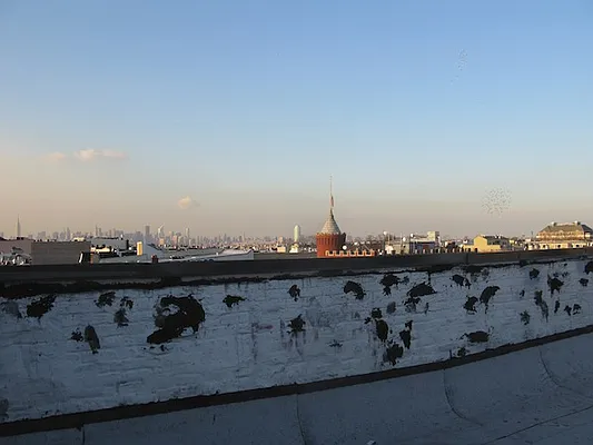 Rented by Fiddler Realty | media 32