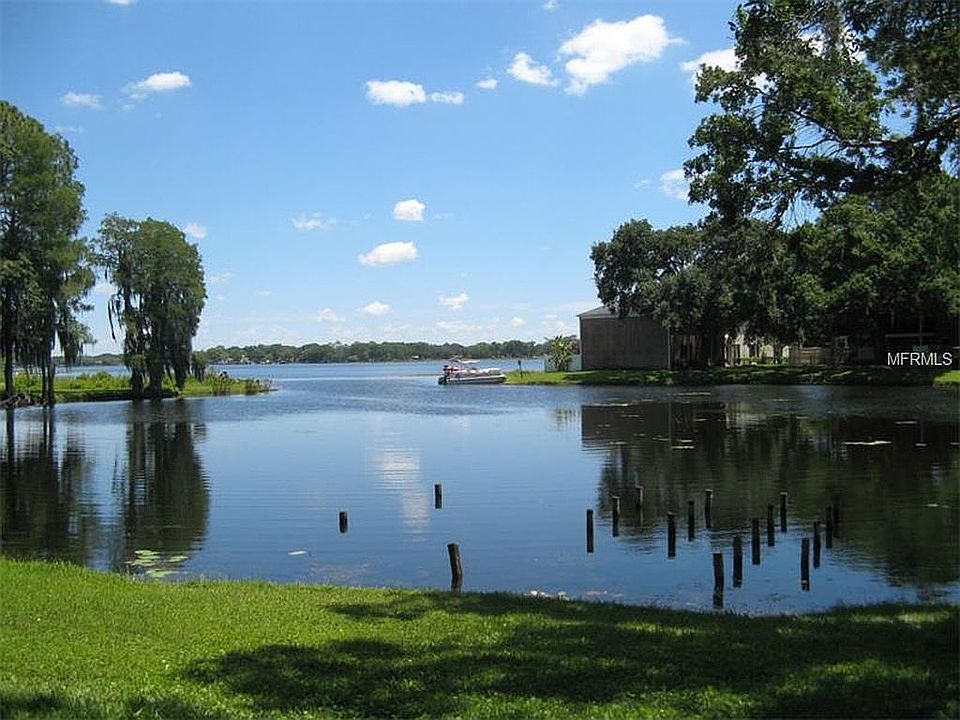 Backyard View