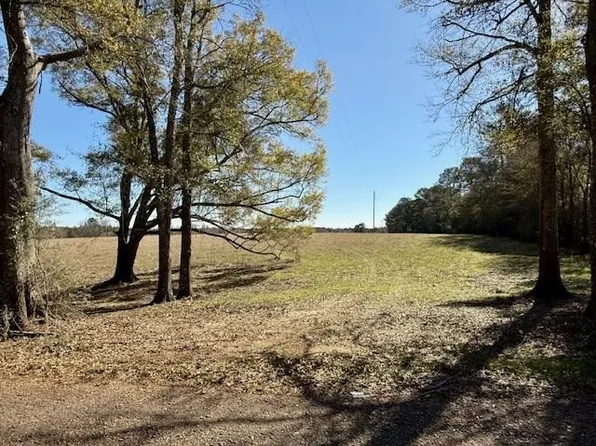 0 Silver Dr, Tylertown, MS 39667