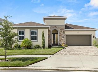 8297 Ivy Stark Blvd, Wesley Chapel, FL 33545