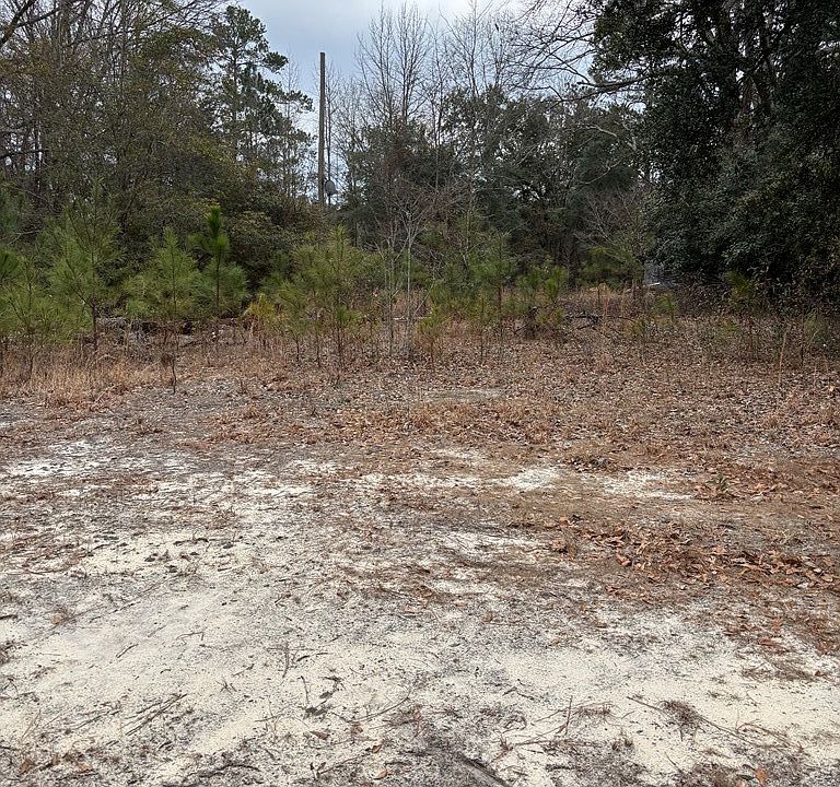 2nd image of 116 Nandina Dr