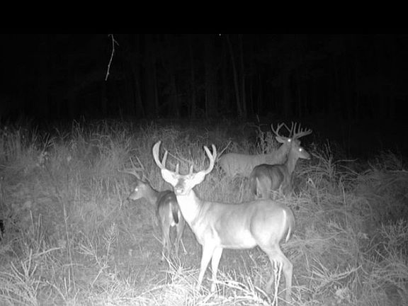 3rd image of 0 Sunset Rd