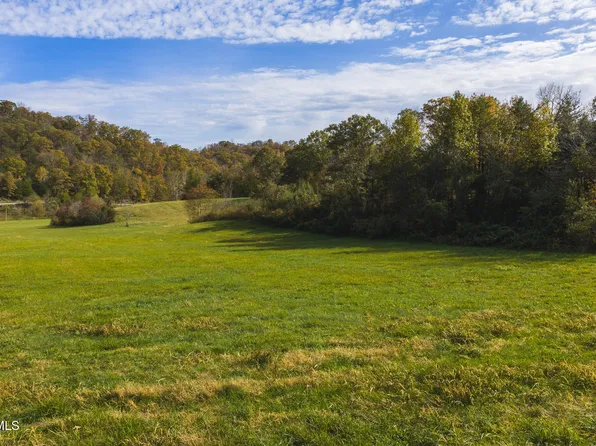 1619 Lynn Flanary Rd, Blackwater, VA 24221