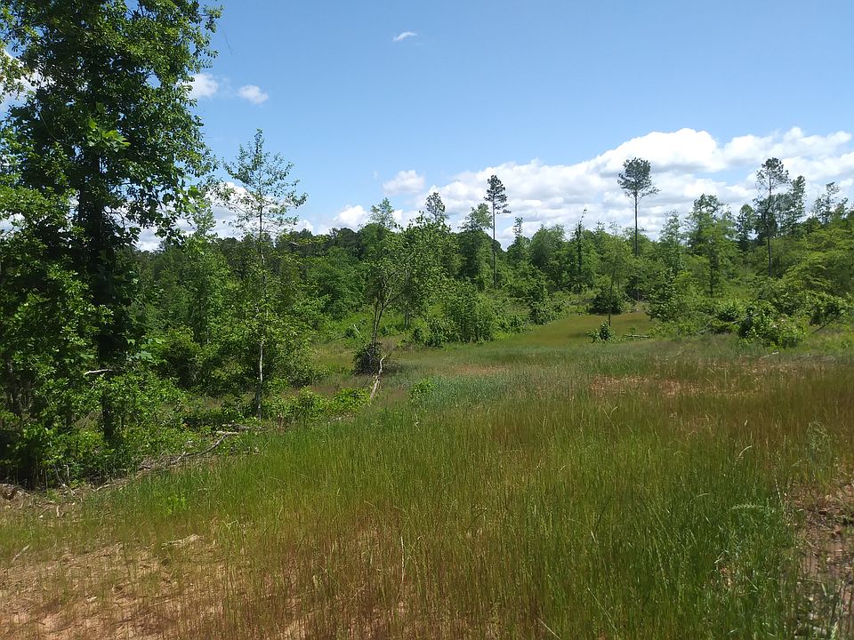 2nd image of Bob Thomas Rd
