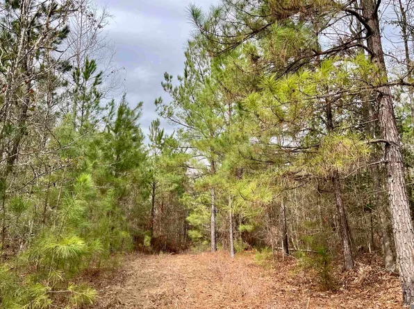 1 Ford Rd, Marion, LA 71260