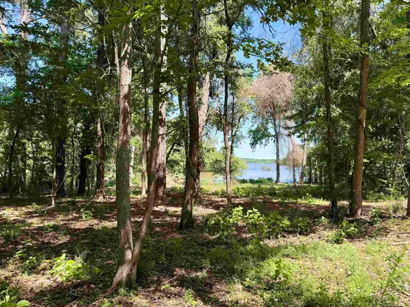 10162 County Road 3202, Chandler, TX 75758