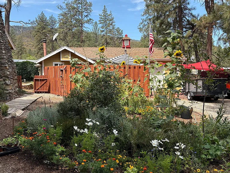 35061 Barbara Lee Dr — Photo 1