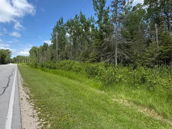 1207 S Hill Island Rd #2, Cedarville, MI 49719