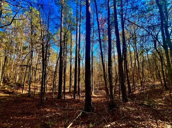 Light Plant Rd Lot Wp001, Monticello, MS 39654