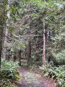 0 xxx Dana Drive NW, Gig Harbor, WA, 98332