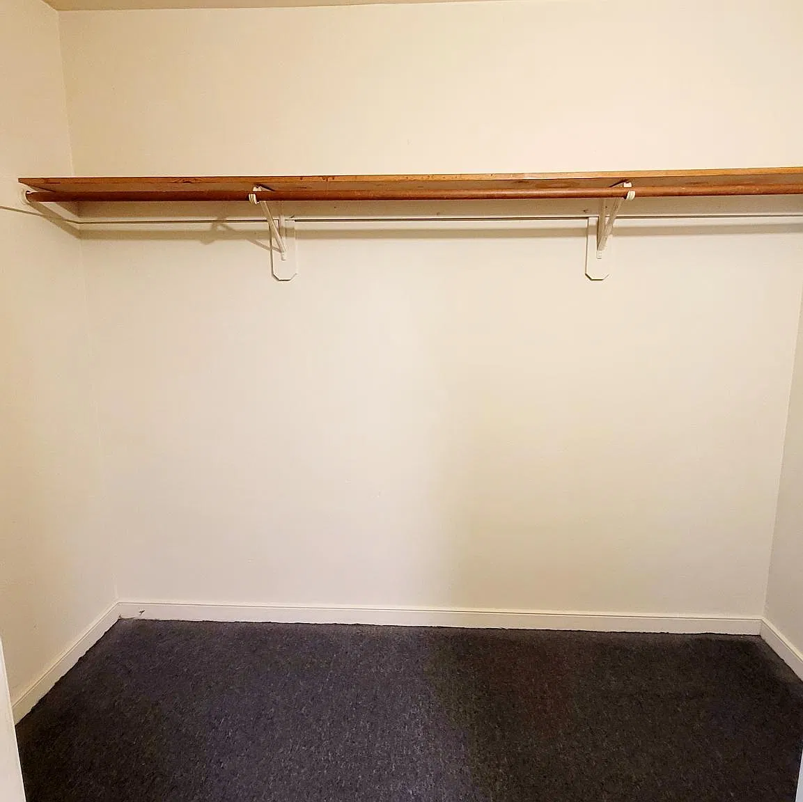 1 bed, 500 sqft, $895 — Photo 3