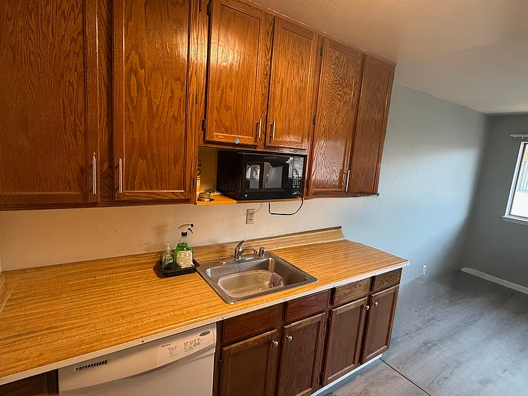 Kitchen with microwave and Dish Washer