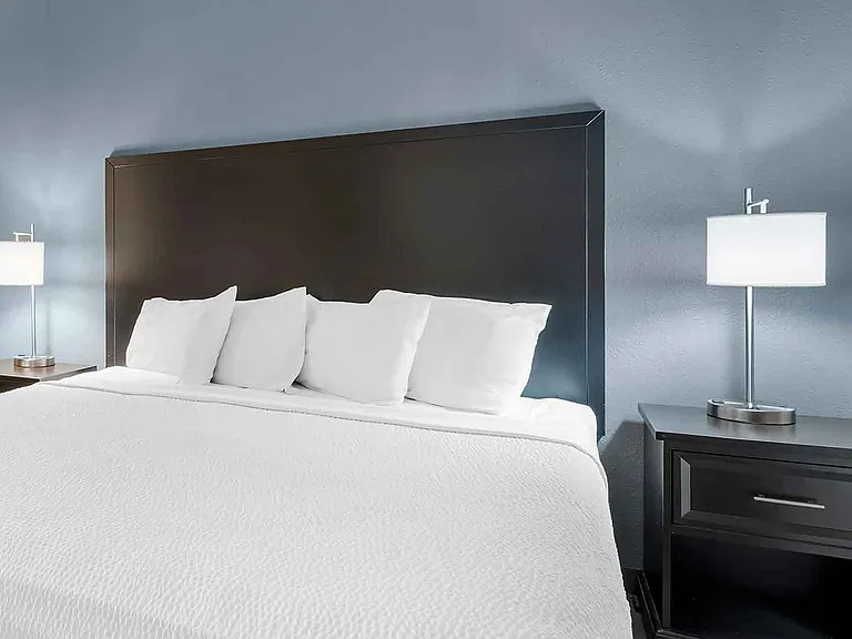 Deluxe Studio - 1 King Bed