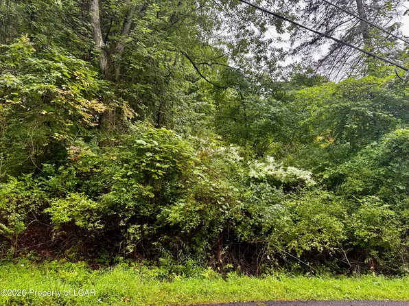 LOT 13 Woodlawn Ave, Harveys Lake, PA 18618