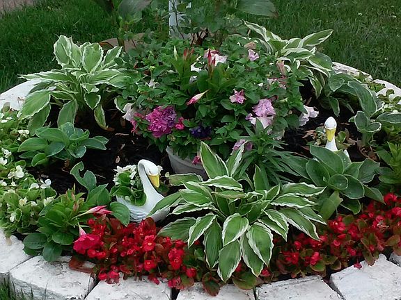 front yard perennial garden 